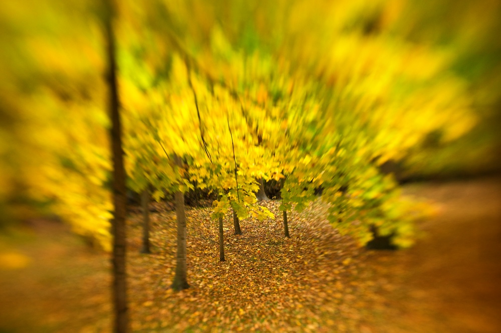 Fall Colors
