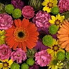 Bunches of Flowers