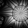 Minster Ceiling